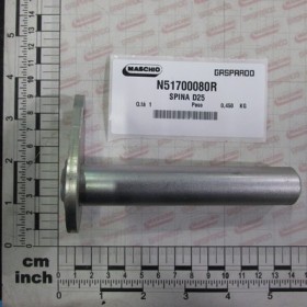 PIN D25