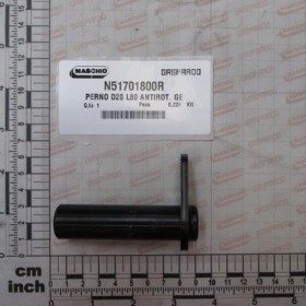 PIN D20 L80 ANTIROTATION GE