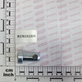 BOLT D20 L-25 C40 ZN
