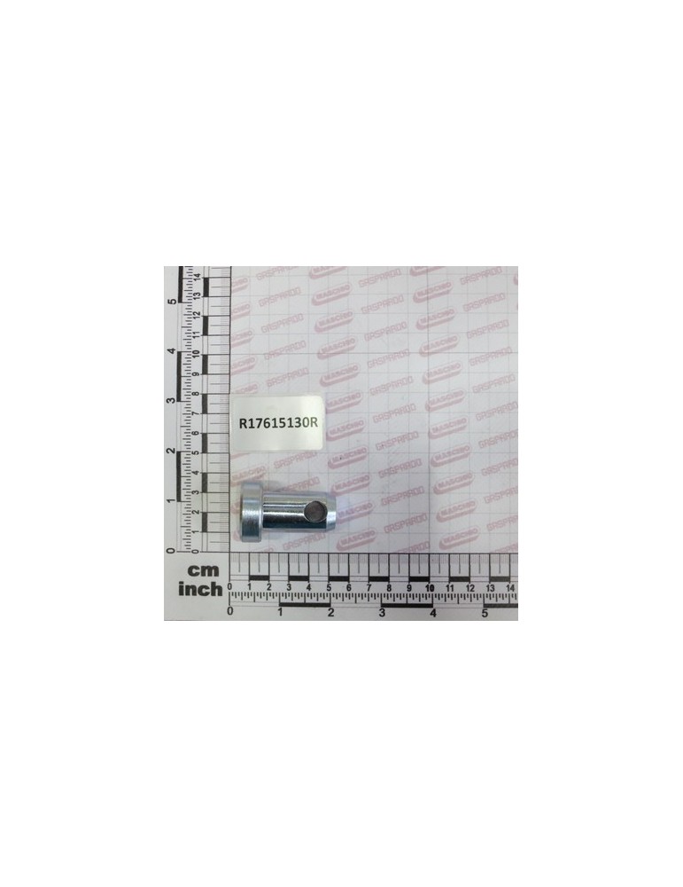 BOLT D20 L-25 C40 ZN