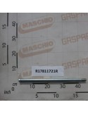 BOLT FILET.D22 M20 L422 ZN