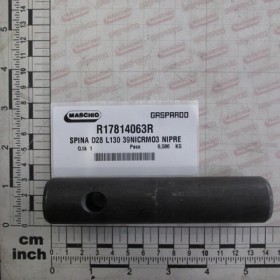 PLUG D28 L130 39NICRMO3 NIPRE