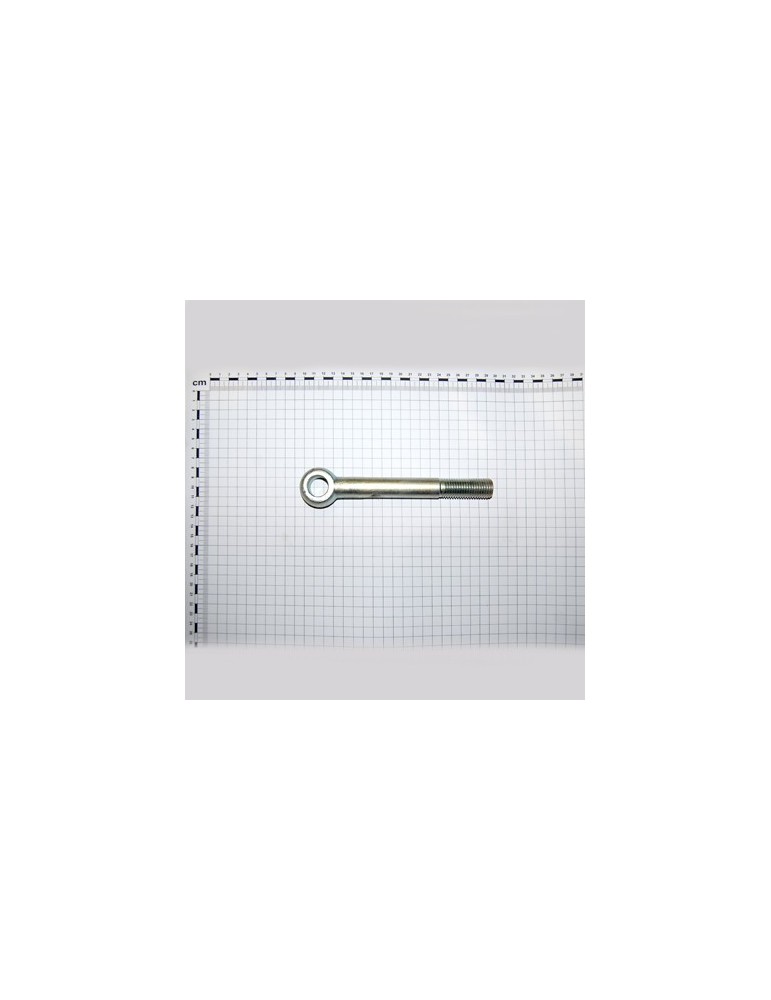 EYEBOLT M20X170 D20