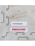 LABEL PINOCCHIO 250X60