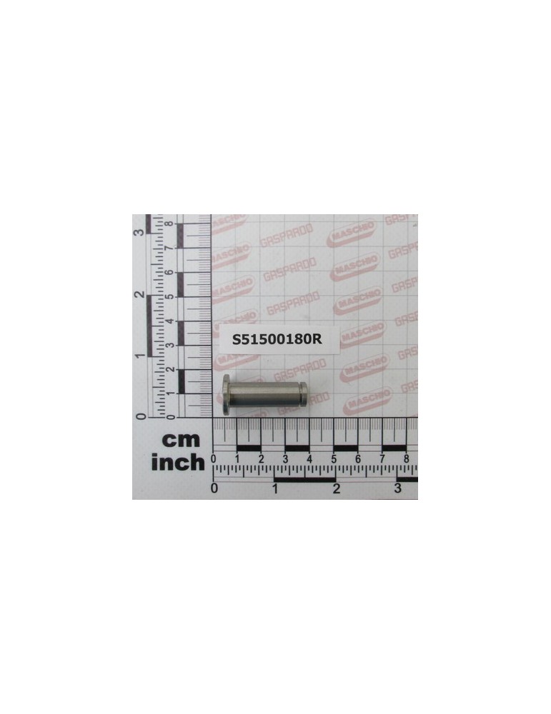 PIN INOX D10 L30