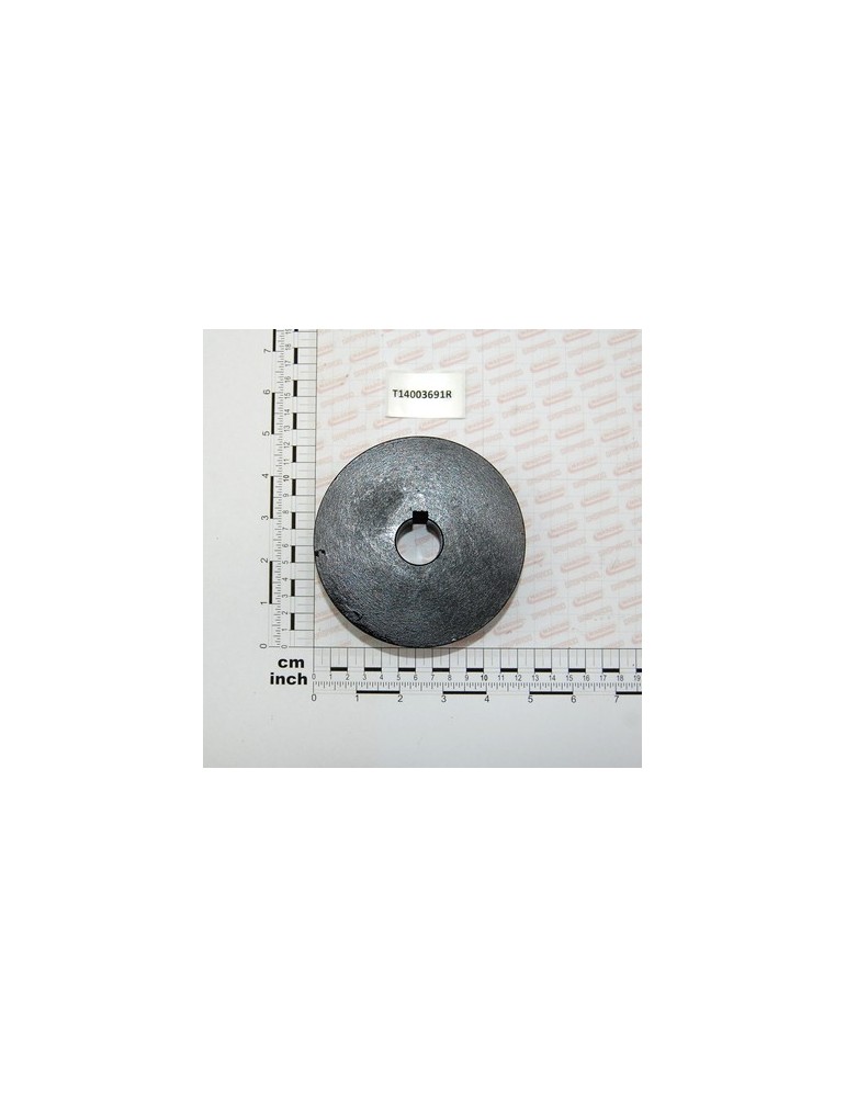 PULLEY MOD. 120