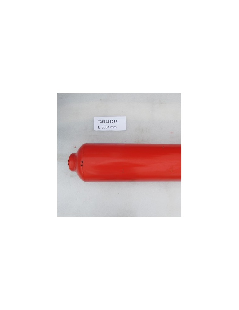 ROLLER TRITONE 310