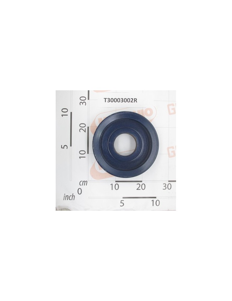 DRIVING PULLEY