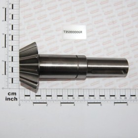 0.312.5001.00 PIGNONE