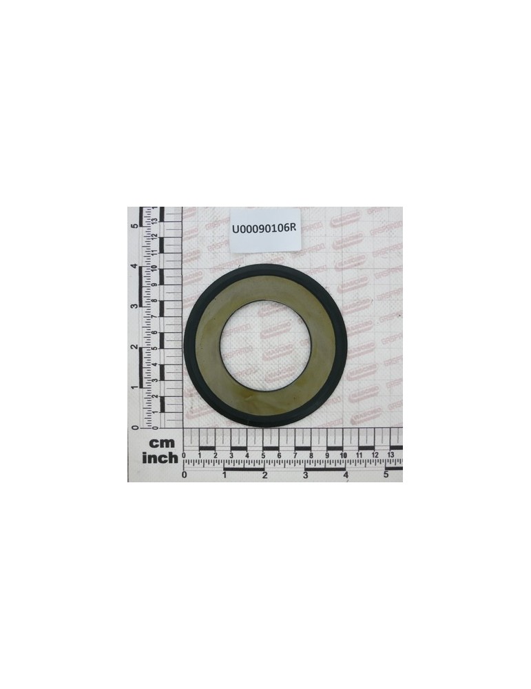 DUST RING PROTECTION 55/100