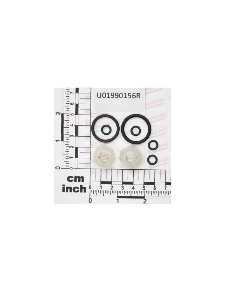 GASKET K X RPC VALVE- RV250