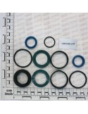 PISTON SEAL KIT CENTRAL DX/SX