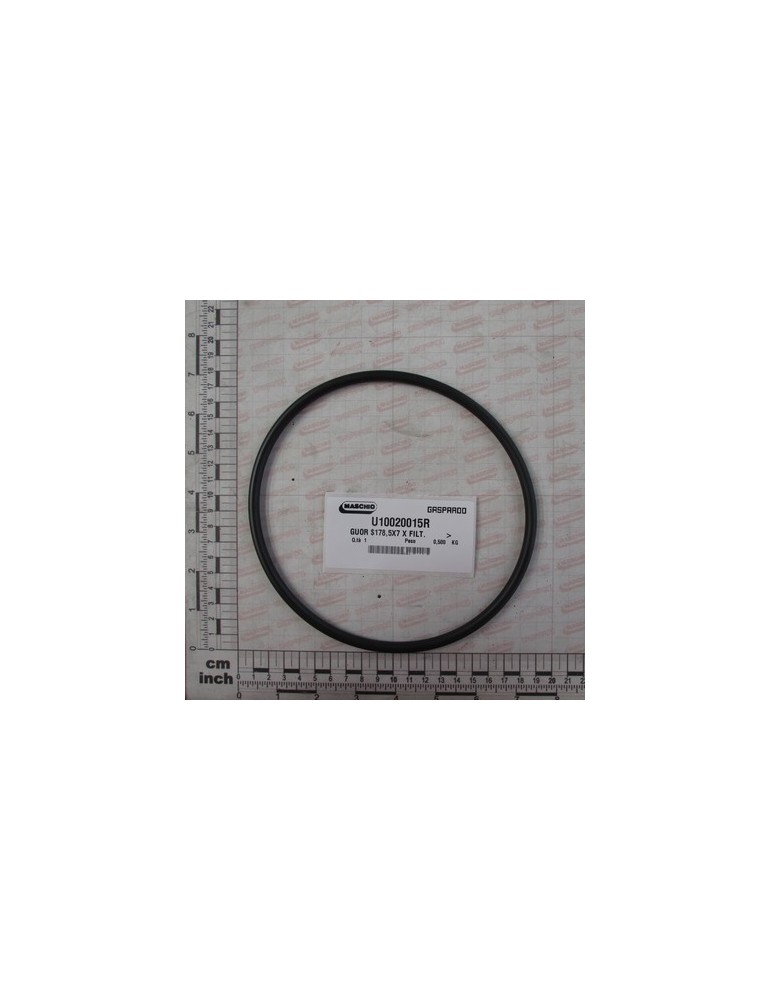 O RING  $178,5X7 X FILT.