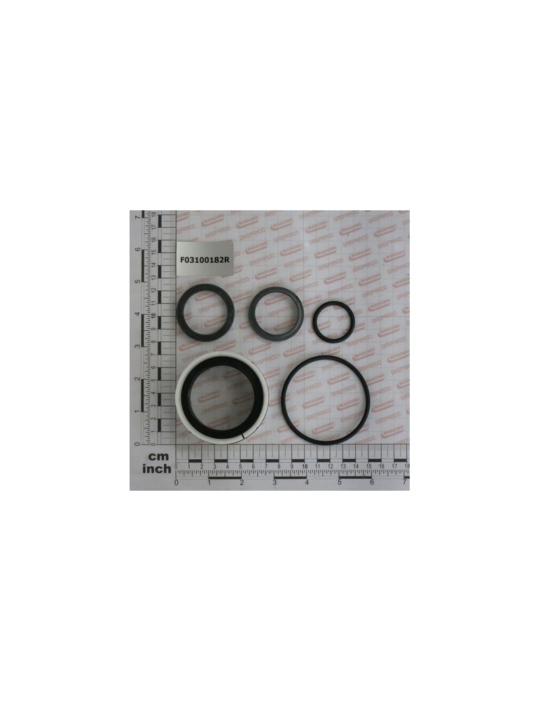 CYL.GASKET KIT 13615680