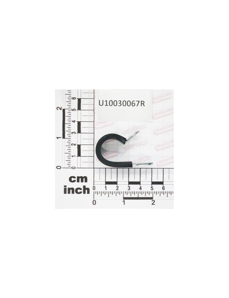 BAND GOMMATA $19 - FORO 6