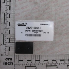 GASKET SEMIGUSCIO