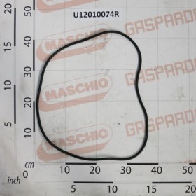 GASKET BOPO $450