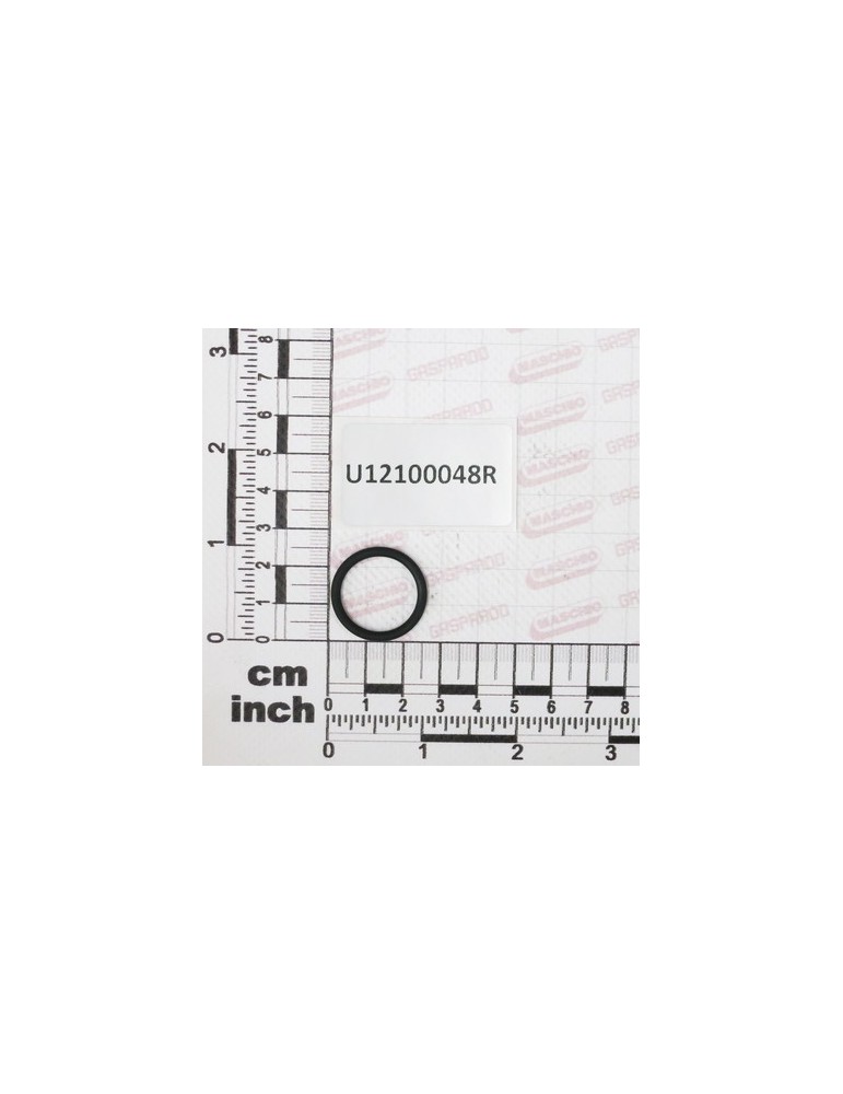 GUOR.$20,24X2,62X25,48 VITON