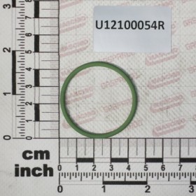 GUOR $39,34X2,62 VITON (OR X