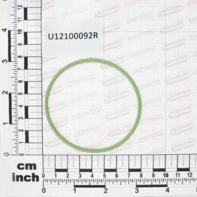 O.R.GASKET 2,62X71,12 VITON