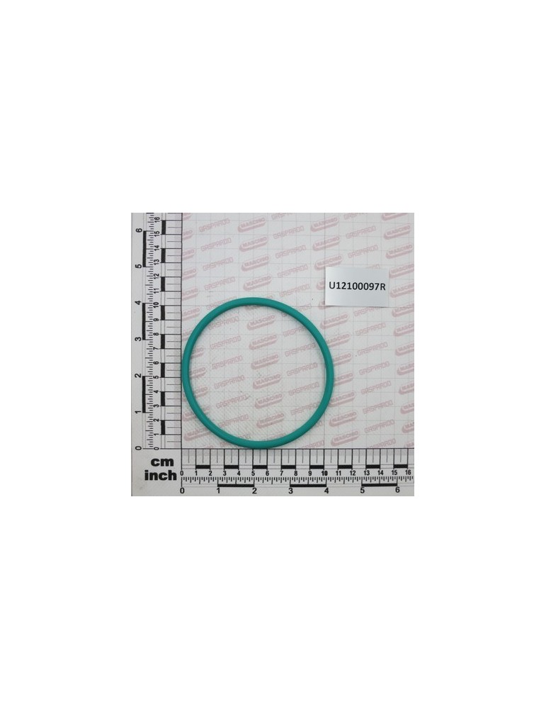 GASKET 6357 5,34X94,62 VITON