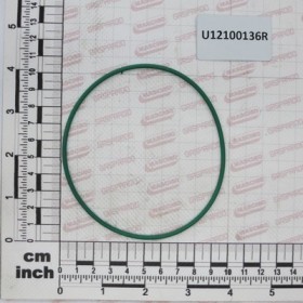 O-RING 100,2X2,6 VITON