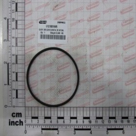 GUOR $69,52X2,62X74,76 VITON.